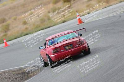 media/Nov-18-2023-Extreme Speed (Sat) [[10c227f63a]]/2-Green/Rear shots/